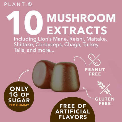 Mushroom Gummies Premium – 10-Mushroom Complex (Lion's Mane & Reishi) | 60 Chews