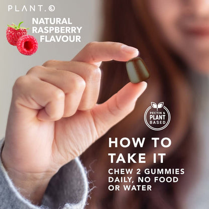 Mushroom Gummies Premium – 10-Mushroom Complex (Lion's Mane & Reishi) | 60 Chews