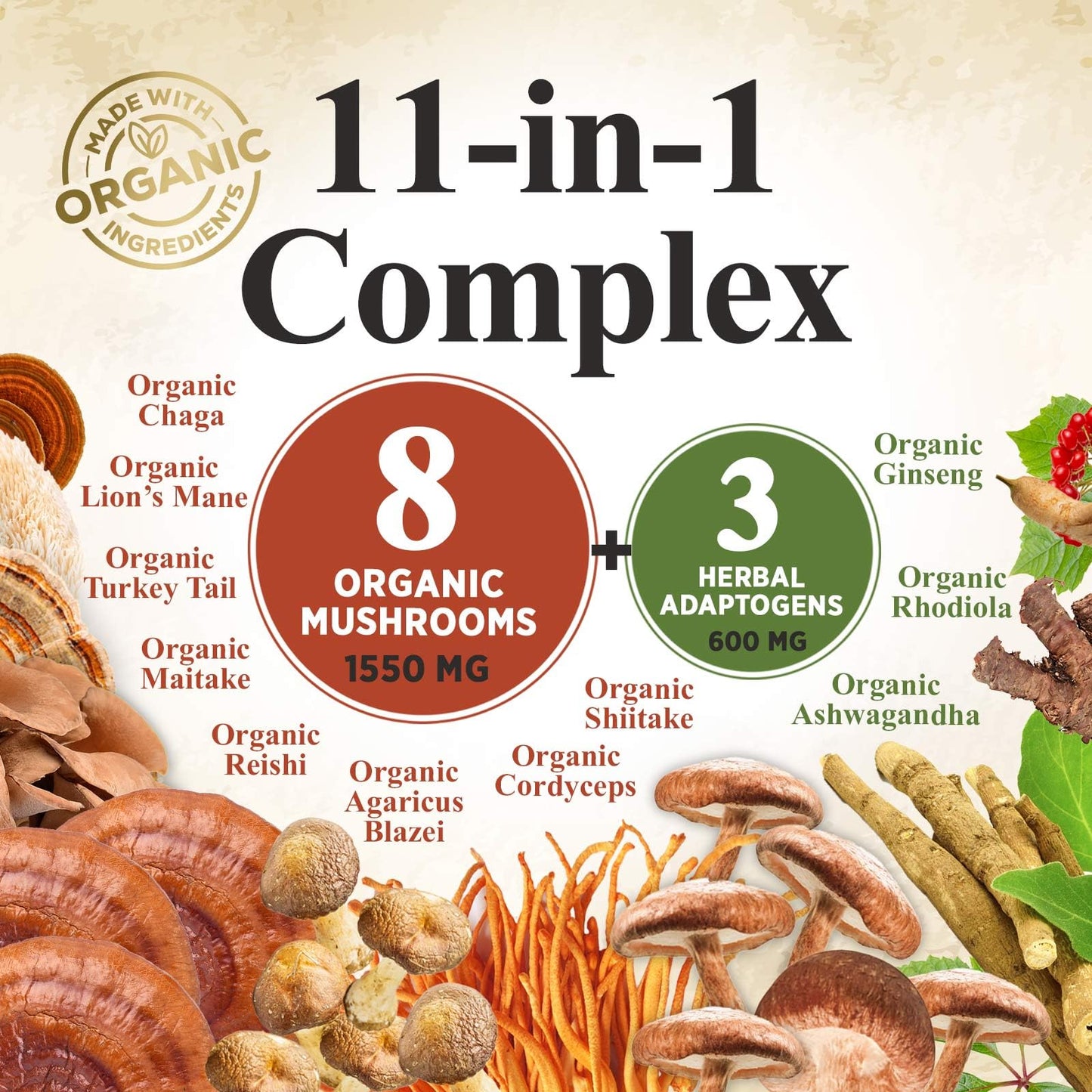 Mushroom Powder 2200mg – 11-in-1 Organic Lion's Mane, Reishi, Cordyceps | 60 Servings