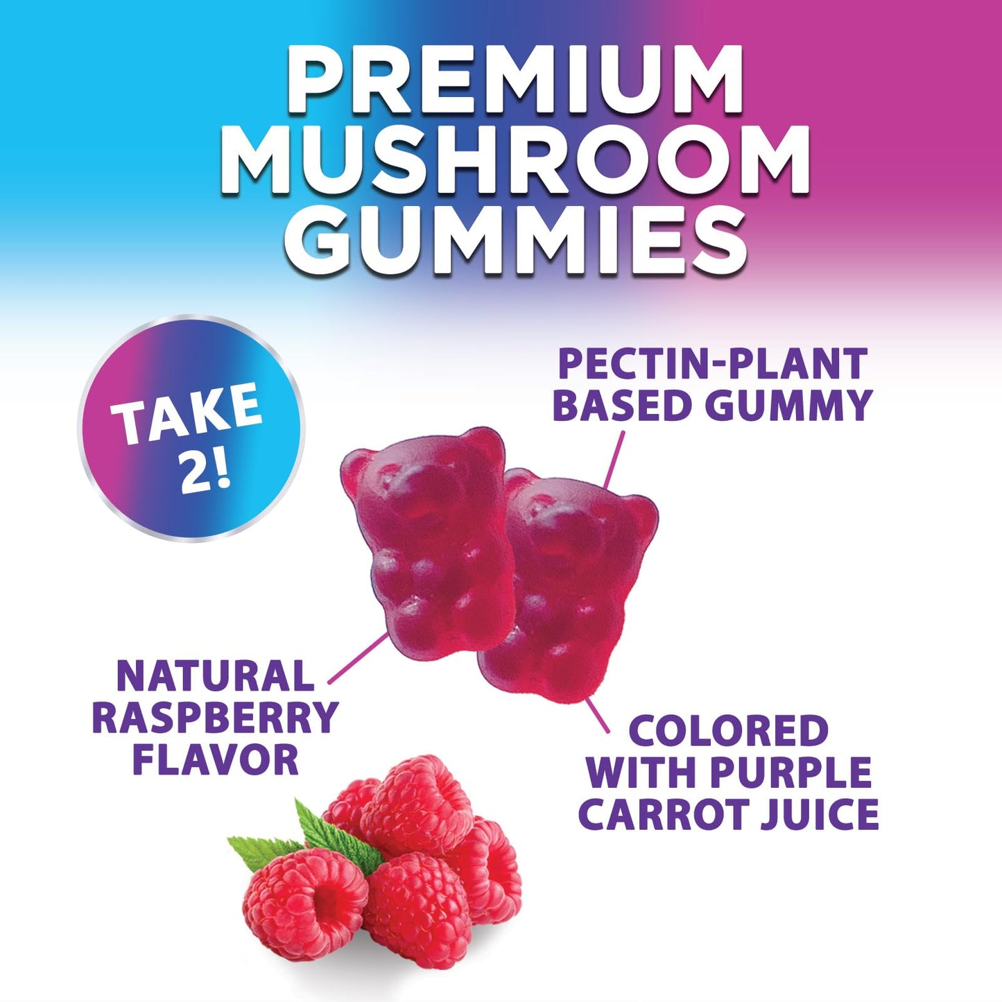 Mushroom Gummies: 12-Mushroom Complex for Immune Support & Nootropics - 60 Gummies