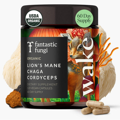 Mushroom Supplement with Lions Mane, Chaga & Cordyceps – USDA Organic, Vegan, 120 Caps (2-Month Supply)