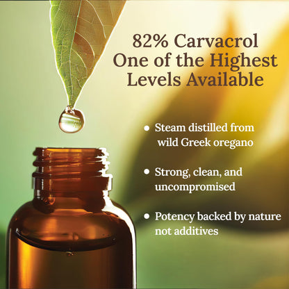 MY LAND Organic Oregano Oil Drops 10ml – Pure, Undiluted, High Carvacrol | Mt. Olympus Steam-Distilled | Immune & Digestive Support