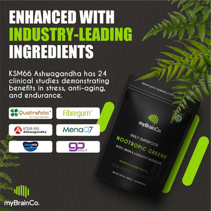 myBrainCo. Nootropic Greens — Premium Organic Brain, Body & Longevity Optimizer (15.9 oz)