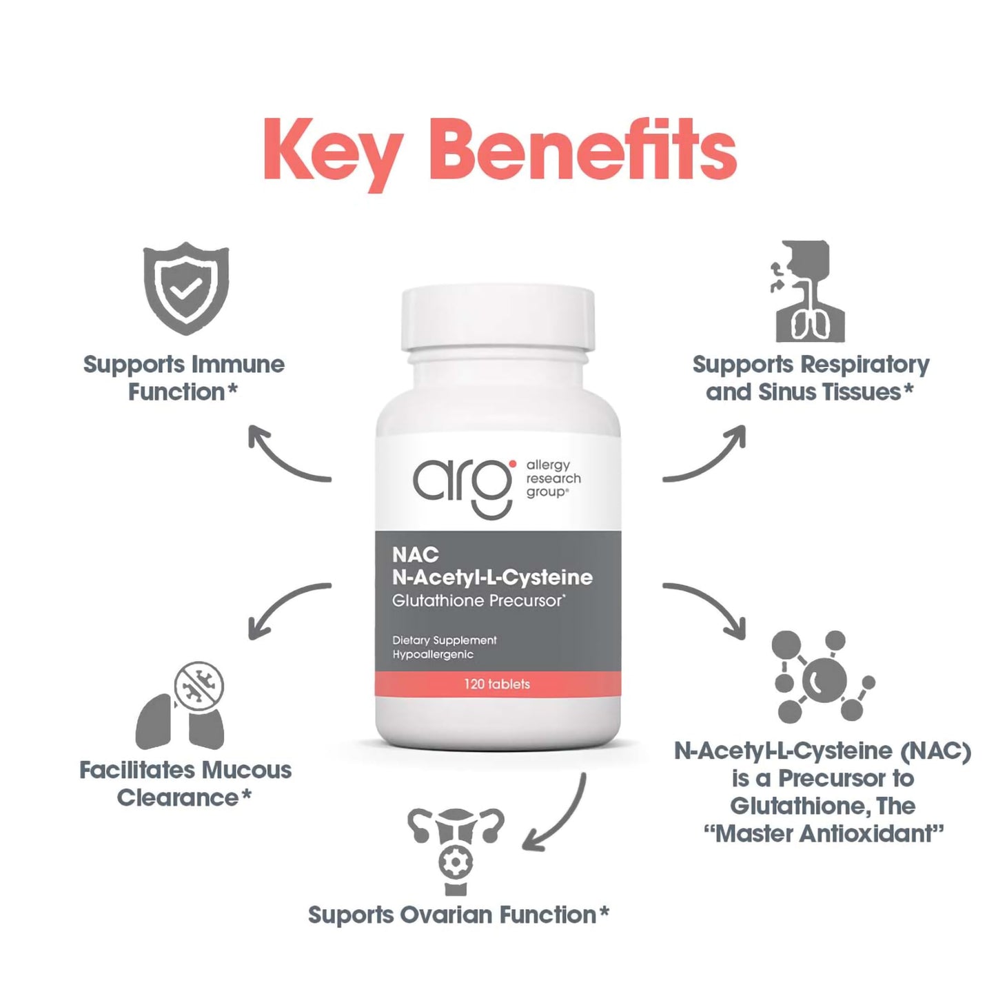 Allergy Research Group NAC Supplement – N-Acetyl-L-Cysteine, Immune Support, 120 Count