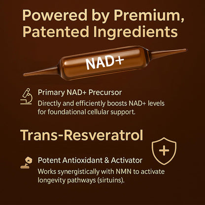 ARSYCHLL NAD Advanced Cellular Renewal - 1200mg NAD Supplement for Skin Aging Support, Energy & Focus - 10 Vials