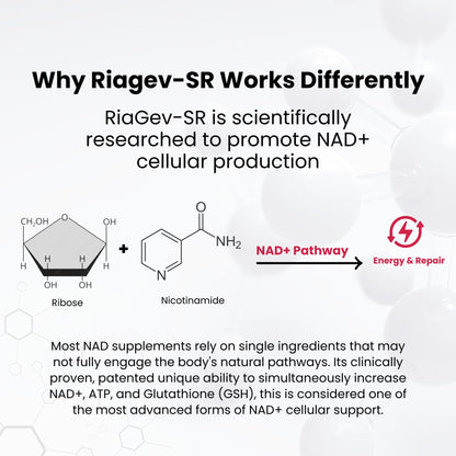 NAD PLUS Revive | Daily NAD+ Replenishment Tablet – 90 Tablets | Vegan, Non-GMO, Gluten-Free | Powered by RiaGev-SR