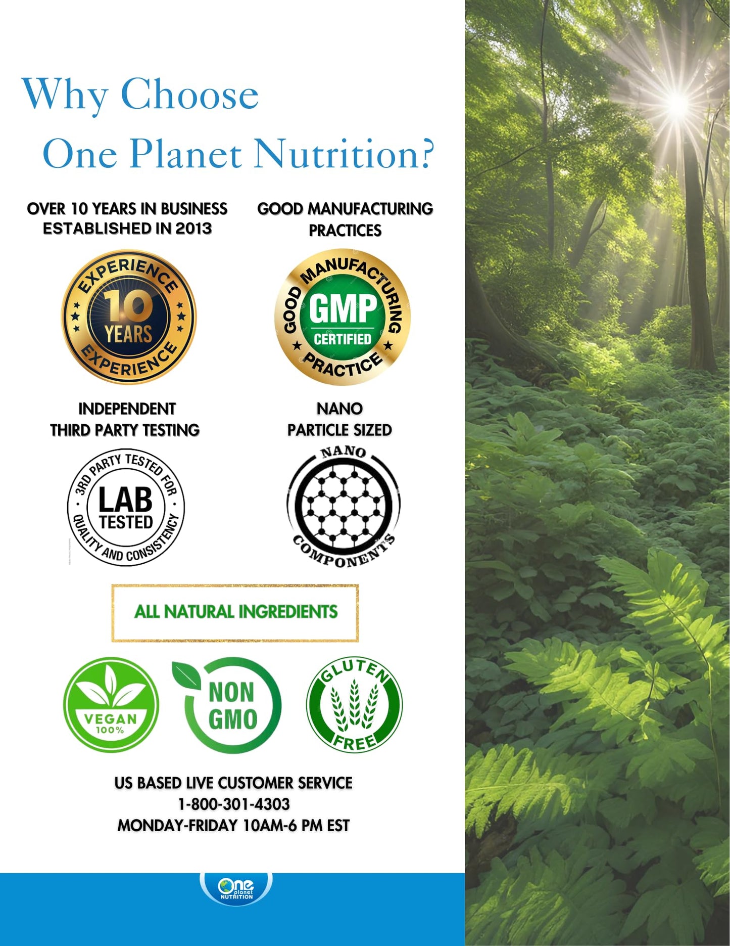 One Planet Nutrition Nano Curcumin Plus – 500 mg Veggie Capsules (240 Servings) | Joint & Immune Support
