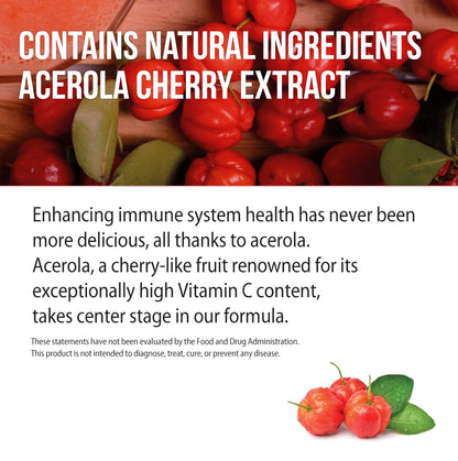 NANOWELL Acerola Cherry Vitamin C 1000mg - Immune Support (540 Count)