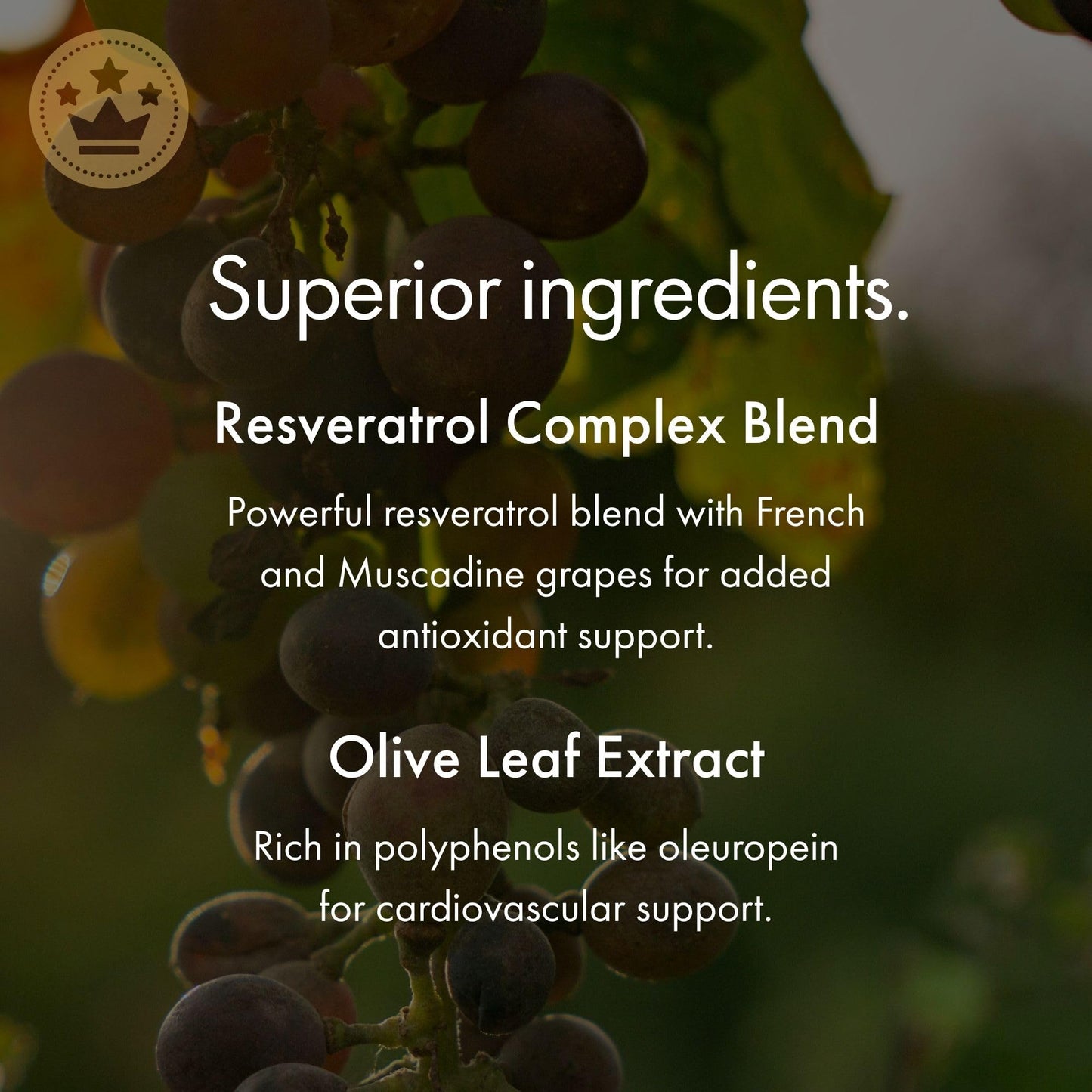 NAOMI Italian Citrus Bergamot 500mg + Resveratrol – 7 Polyphenols, 30-Day Supply