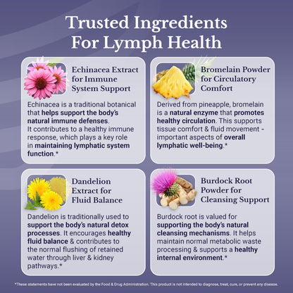 NATION HEALTH MD Lymph MD – Lymphatic Drainage Supplement with Bromelain, Echinacea, Burdock, Dandelion & More | 60 Capsules
