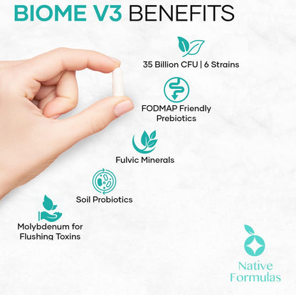 Native Formulas Biome V3 Probiotic, Prebiotic, & Fulvic Minerals Supplements - 35 Billion CFU - 6 Strains - 60 Vegan Capsules - Women & Men - FODMAP Friendly - Supports Digestive, Immune & Gut Health