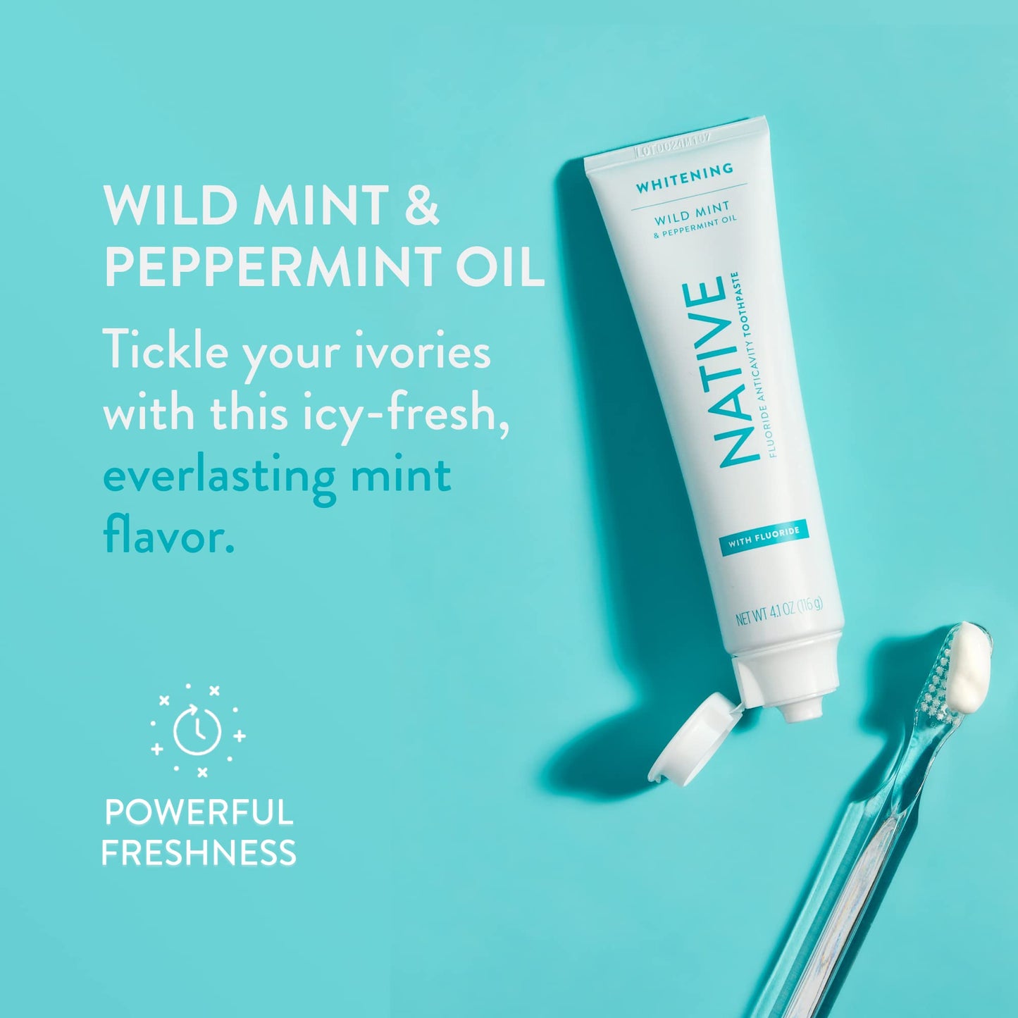 Native Fluoride Toothpaste – Wild Mint (4.1 oz), 3 Count | Naturally Derived Cleaners