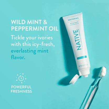 Native Fluoride Toothpaste – Wild Mint (4.1 oz), 3 Count | Naturally Derived Cleaners