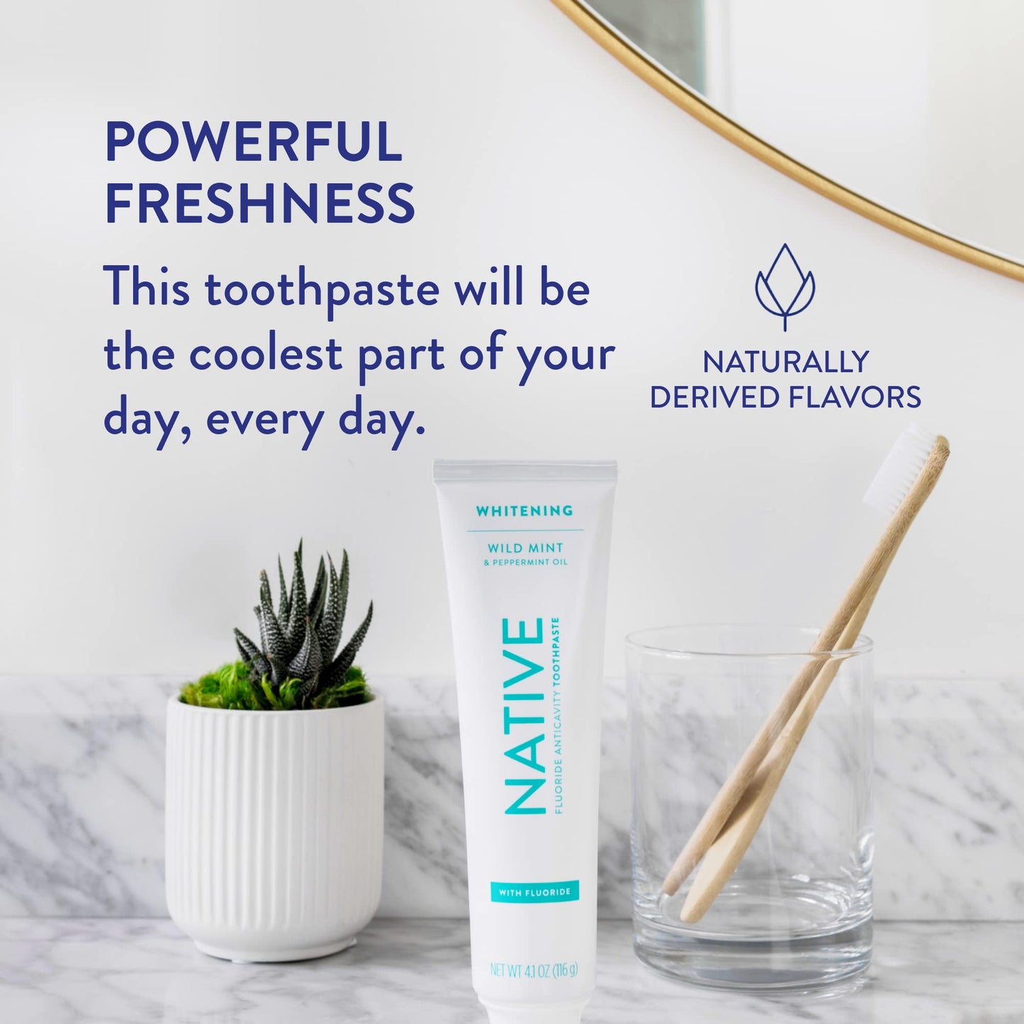 Native Fluoride Toothpaste – Wild Mint (4.1 oz), 3 Count | Naturally Derived Cleaners