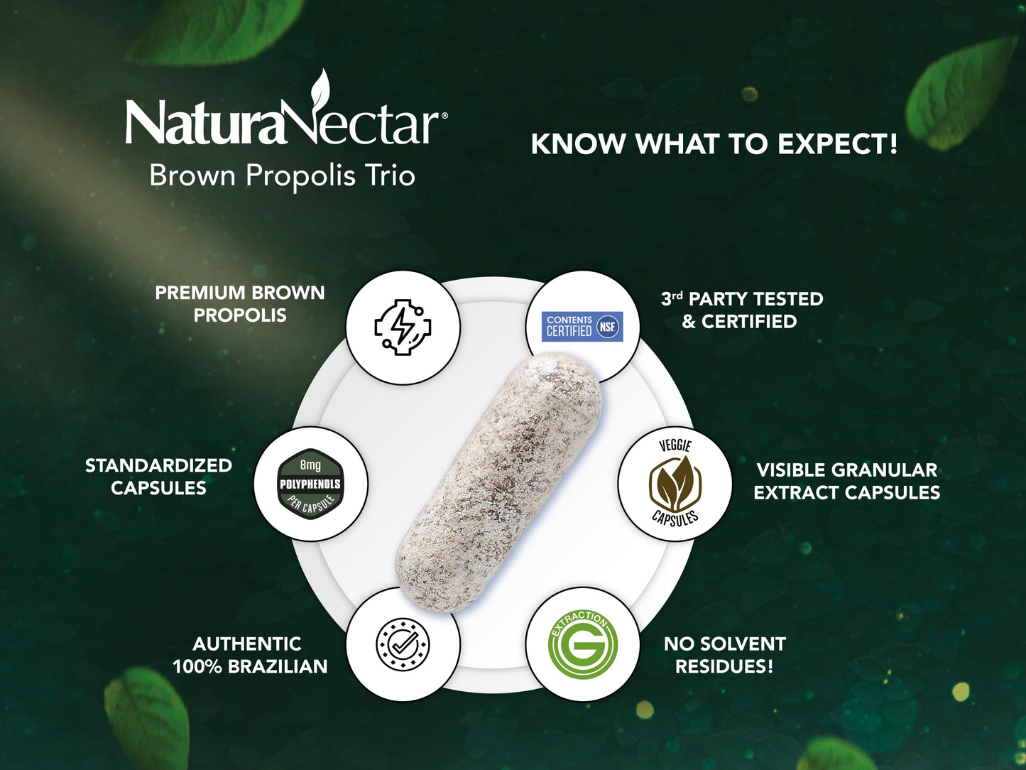 NaturaNectar Brown Bee Propolis - NSF Certified, Gluten-Free, Premium Brazilian Propolis (60pcs)