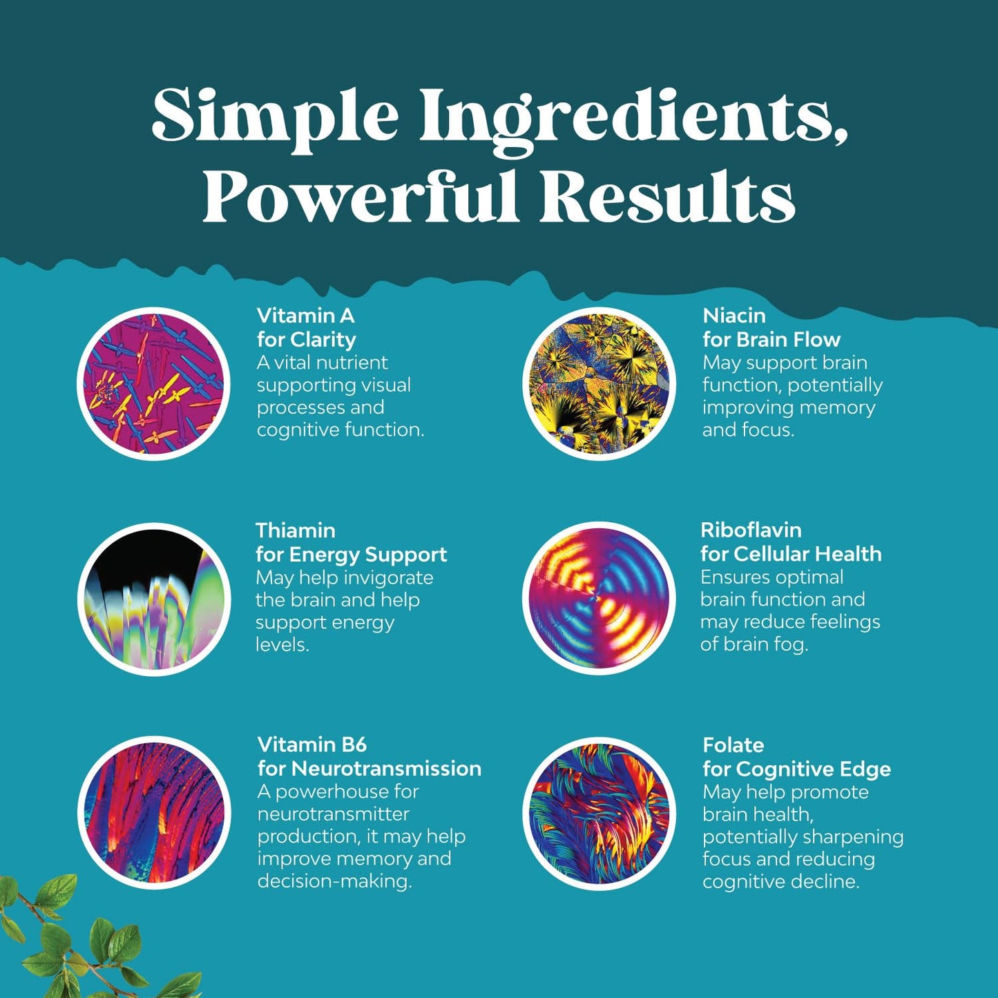 Nootropic Brain Supplement for Memory & Focus – Mental Clarity