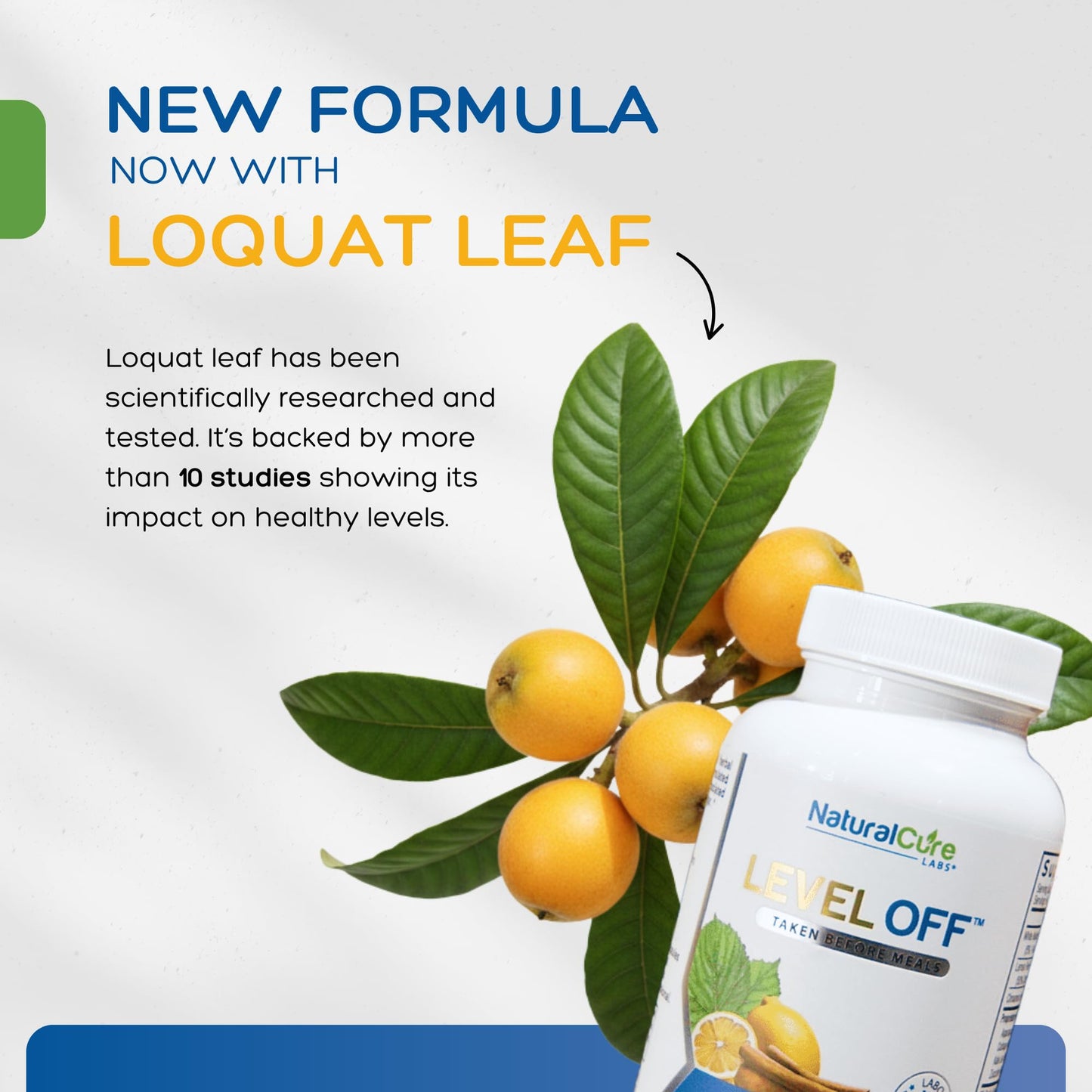 Natural Cure Labs Level Off Anti Spike – Glucose Support Capsules (120 Count)