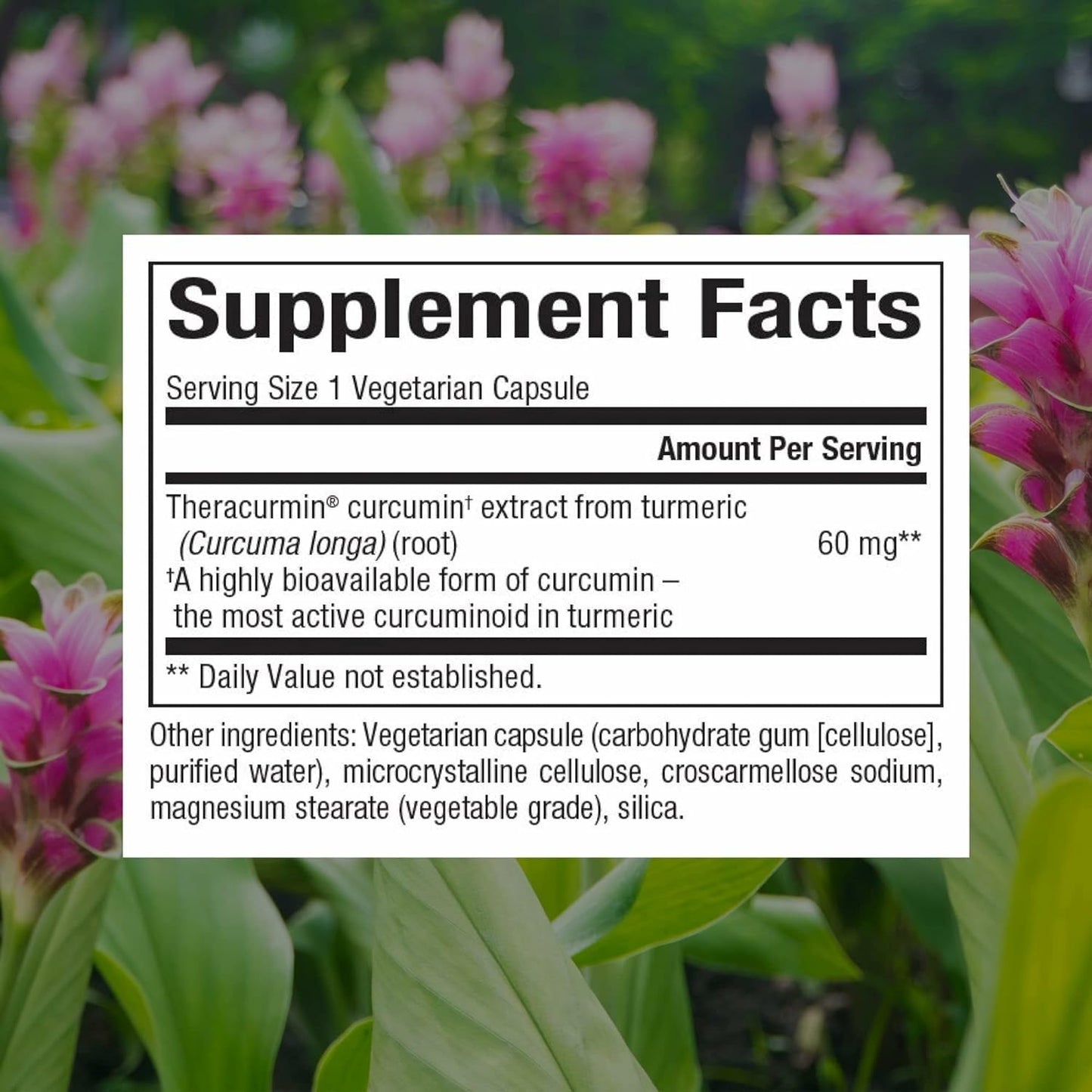 Natural Factors CurcuminRich Theracurmin – Antioxidant Support