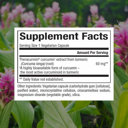 Natural Factors CurcuminRich Theracurmin – Antioxidant Support
