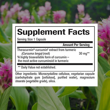 Natural Factors CurcuminRich Theracurmin 30 mg — Superior Absorption, 120 Count