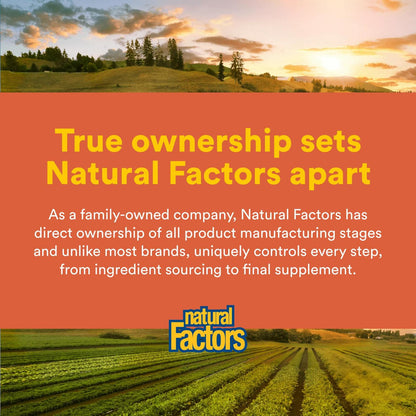 Natural Factors Joint MSM Formula – Supports Joints, Muscles & Cartilage (90 Capsules)