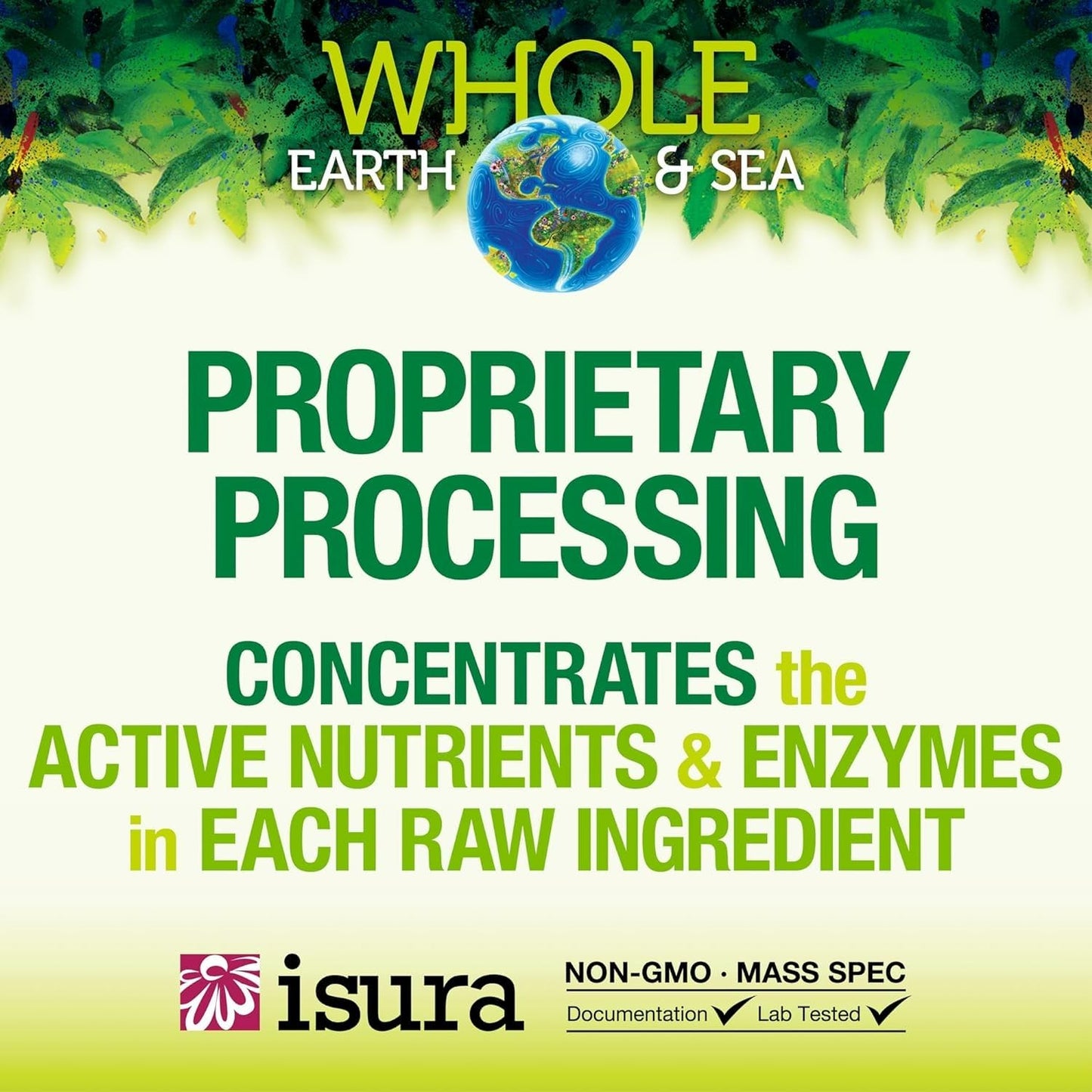 Natural Factors Whole Earth & Sea Organic Fermented Greens Chocolate – Vegan, 15.5 oz