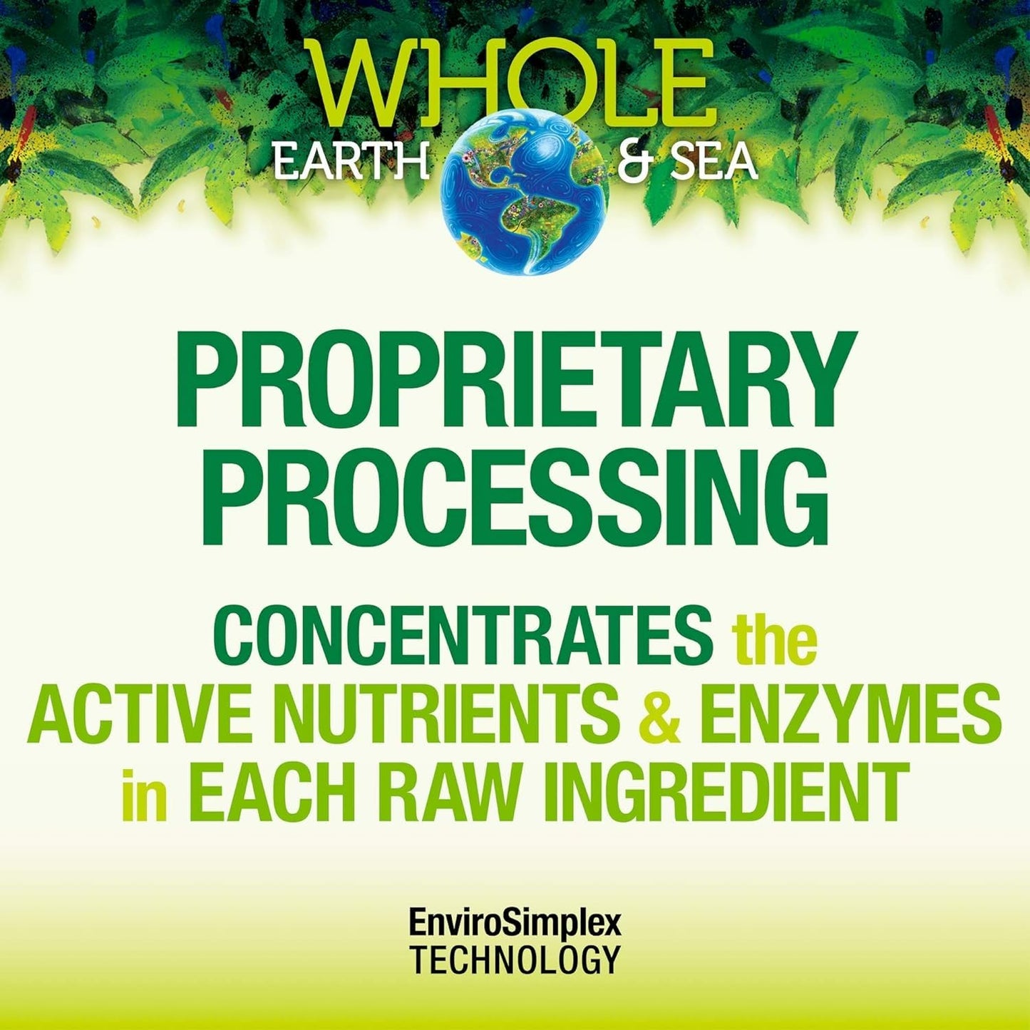 Natural Factors Whole Earth & Sea Organic Fermented Greens — Vegan, Unflavored, 13.8 oz