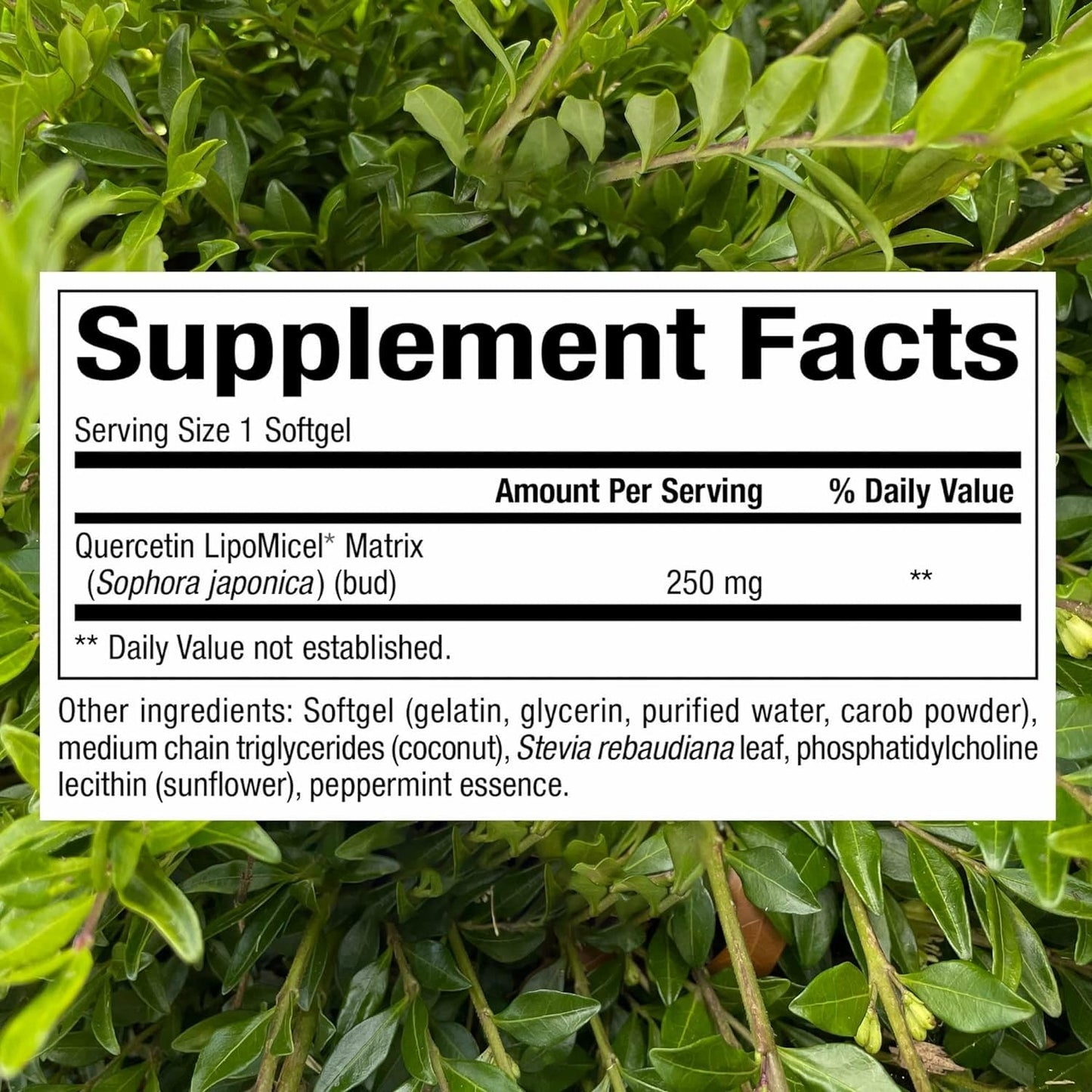Natural Factors Quercetin Lipomicel Matrix — Immune & Capillary Support