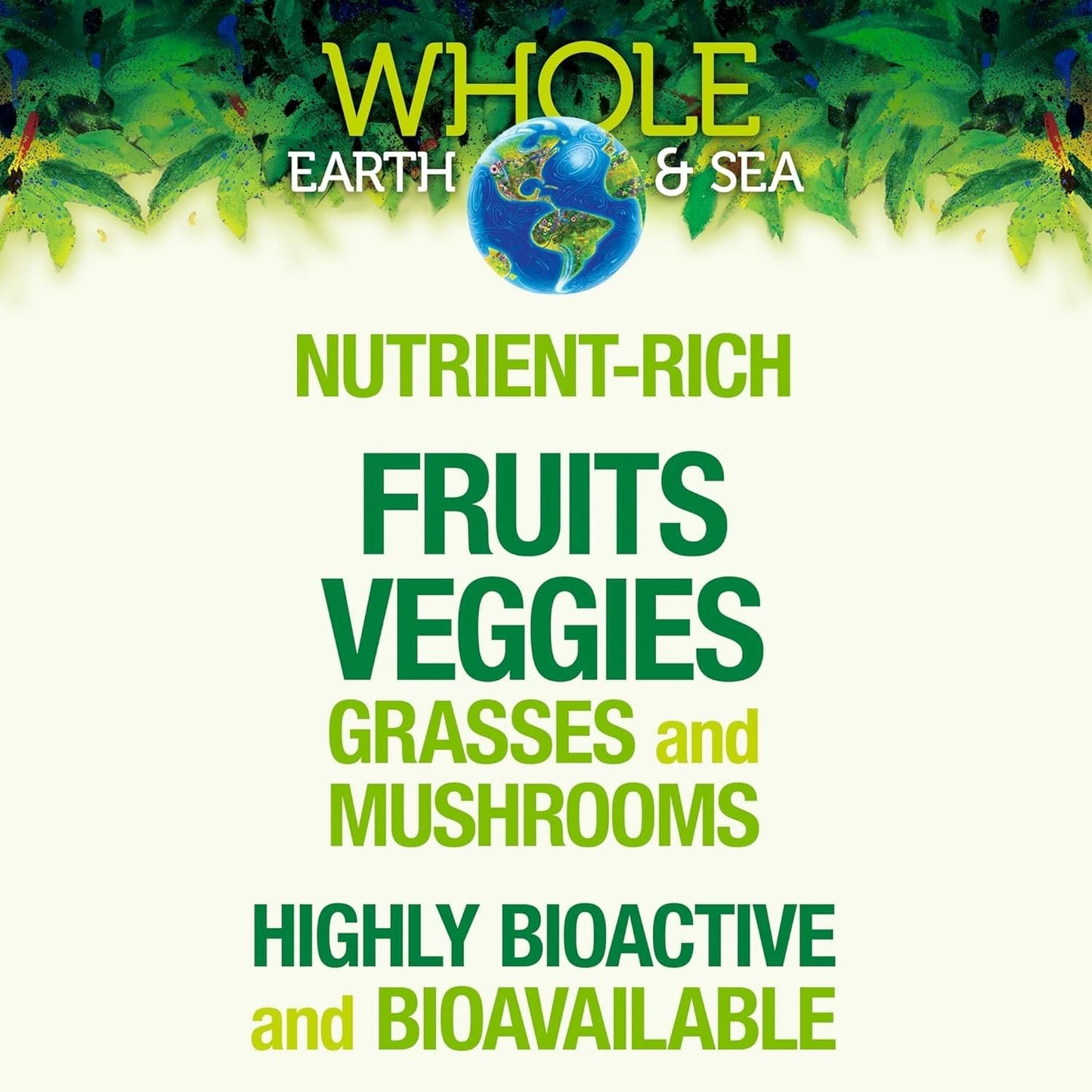 Natural Factors Whole Earth & Sea Organic Fermented Greens Chocolate – Vegan, 15.5 oz