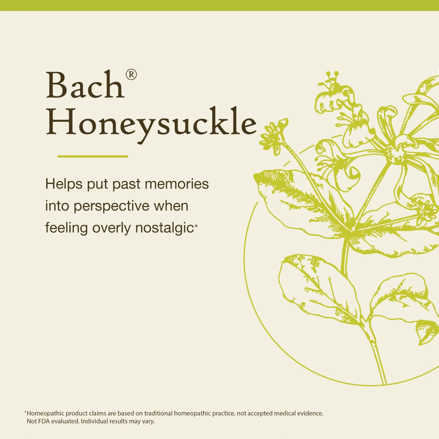 Bach Original Flower Remedies Honeysuckle – Emotional Balance (20mL)