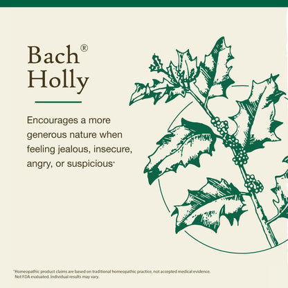 Bach Holly Flower Remedy - Goodwill Towards Others | 20mL Dropper