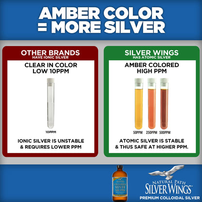 Natural Path Silver Wings Colloidal Silver 500ppm (2,500mcg) Immune Support Supplement 16 oz