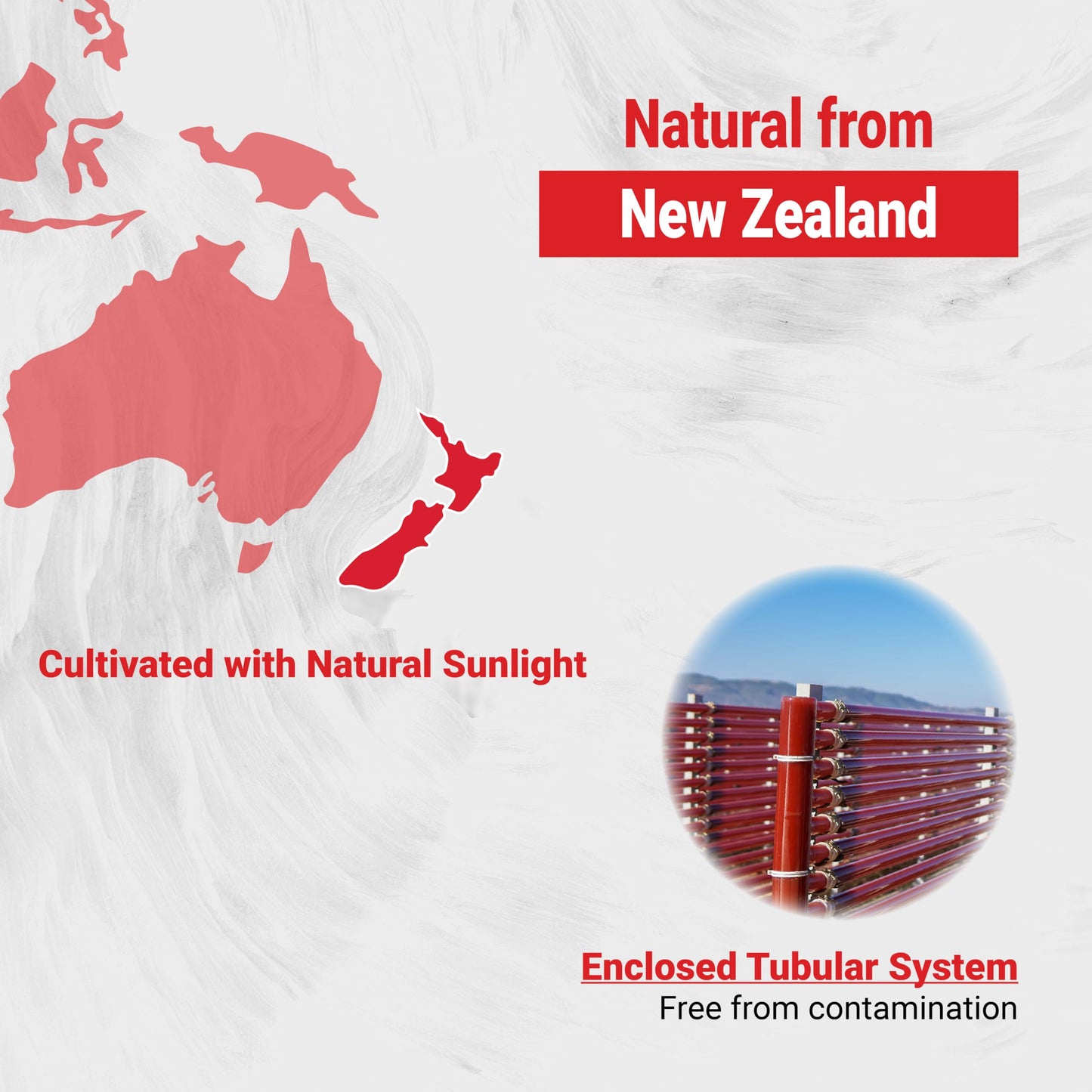 Naturalis New Zealand Astaxanthin – 6mg Mini-Softgels | Non-GMO, Gluten & Soy Free | 300 Softgels