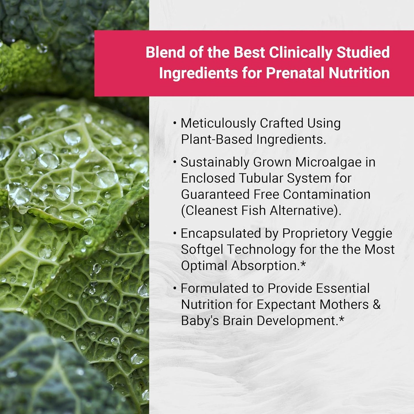Naturalis Vegan Prenatal: Full Spectrum Omega-3 + Vitamin D3 & L-5-MTHF | Vegan Society Certified | 60 Veggie Softgels