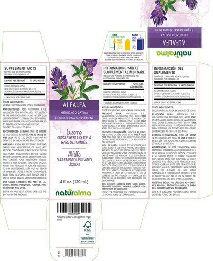 Naturalma Alfalfa (Lucerne) Tincture – Alcohol-Free Liquid Extract, 4 fl oz Drops – Vegan