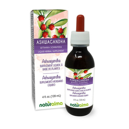 Naturalma Ashwagandha Root Tincture – Alcohol-Free, 4 fl oz | Vegan