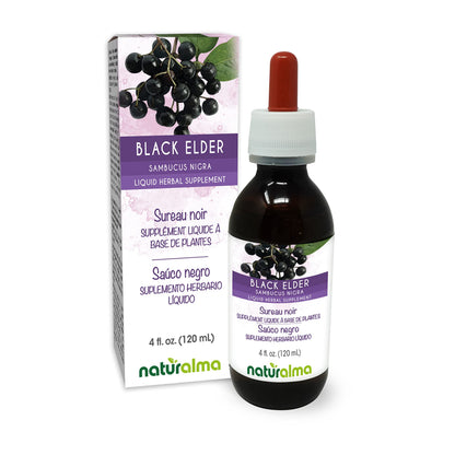Naturalma Black Elder Tincture – Elderflower and Elderberry, Alcohol-Free, Vegan, 4 oz