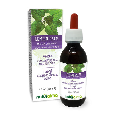Naturalma Lemon Balm Tincture – Alcohol-Free Liquid Extract (4 fl oz) | Vegan Melissa officinalis