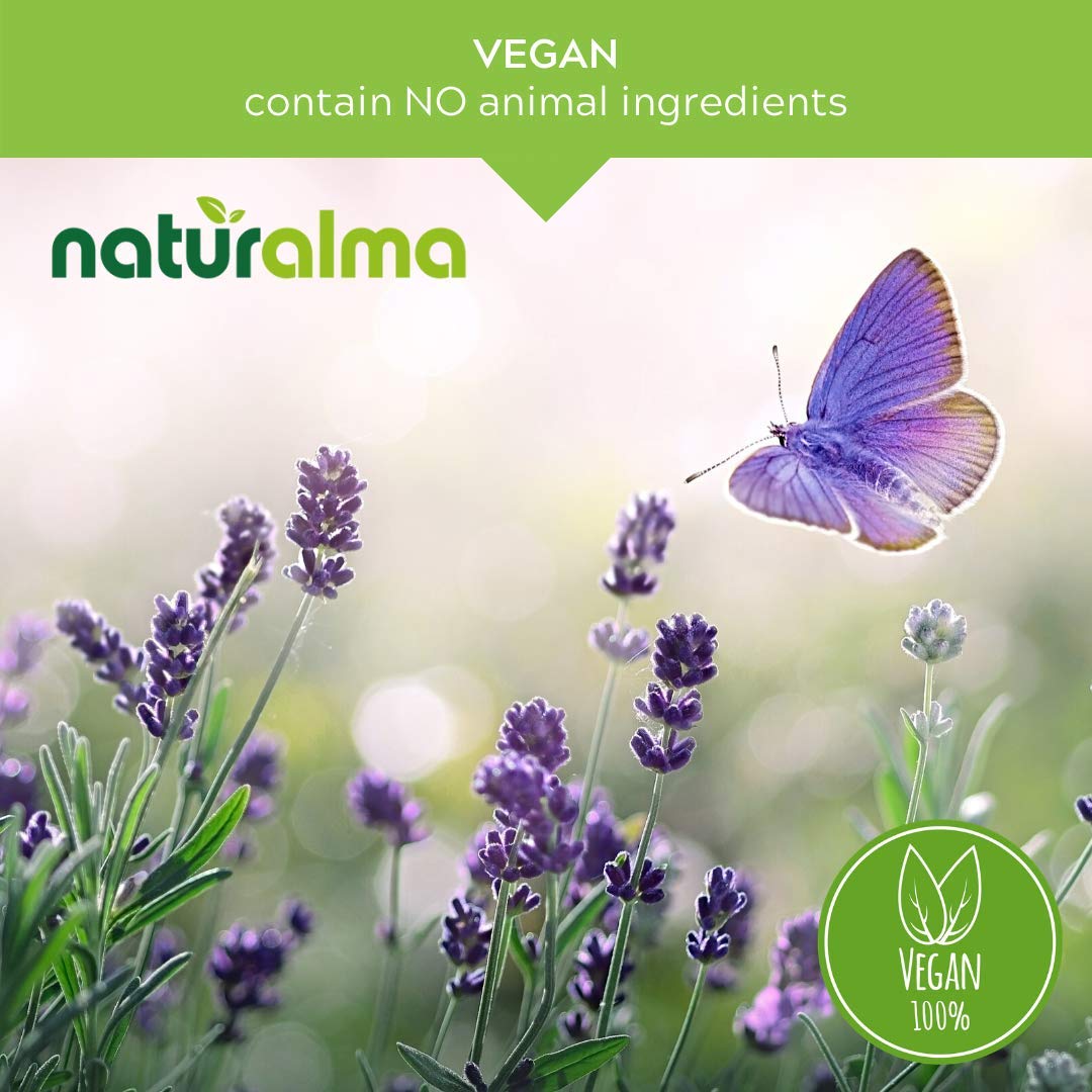 Naturalma Milk Thistle Liquid Extract 1:10 – Alcohol-Free Tincture, 16.9 fl oz (500 ml) – Vegan, Made in Italy