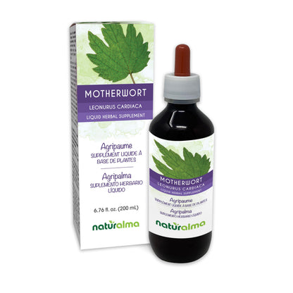 Naturalma Motherwort Tincture 1:10 – Alcohol-Free Drops (6.76 fl oz)
