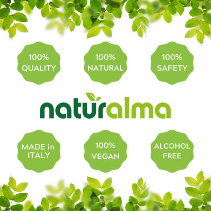 Naturalma Milk Thistle Liquid Extract 1:10 – Alcohol-Free Tincture, 16.9 fl oz (500 ml) – Vegan, Made in Italy