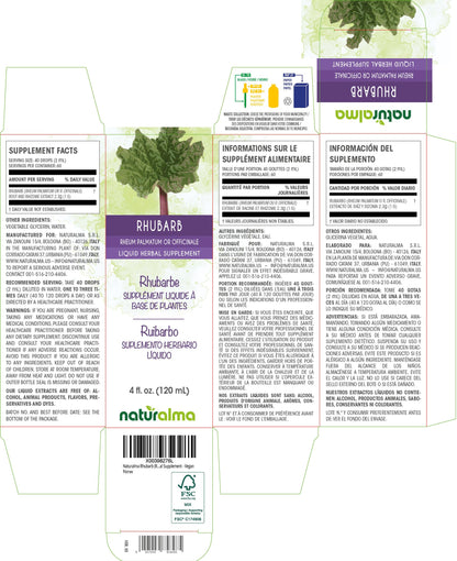 Naturalma Rhubarb Root & Rhizome Tincture – Alcohol-Free, 4 fl oz Drops, Vegan
