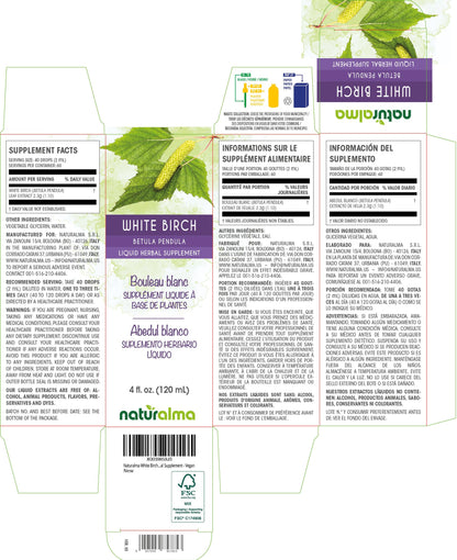 Naturalma White Birch Leaf Tincture – Alcohol-Free Drops, 4 fl oz | Vegan Herbal Supplement