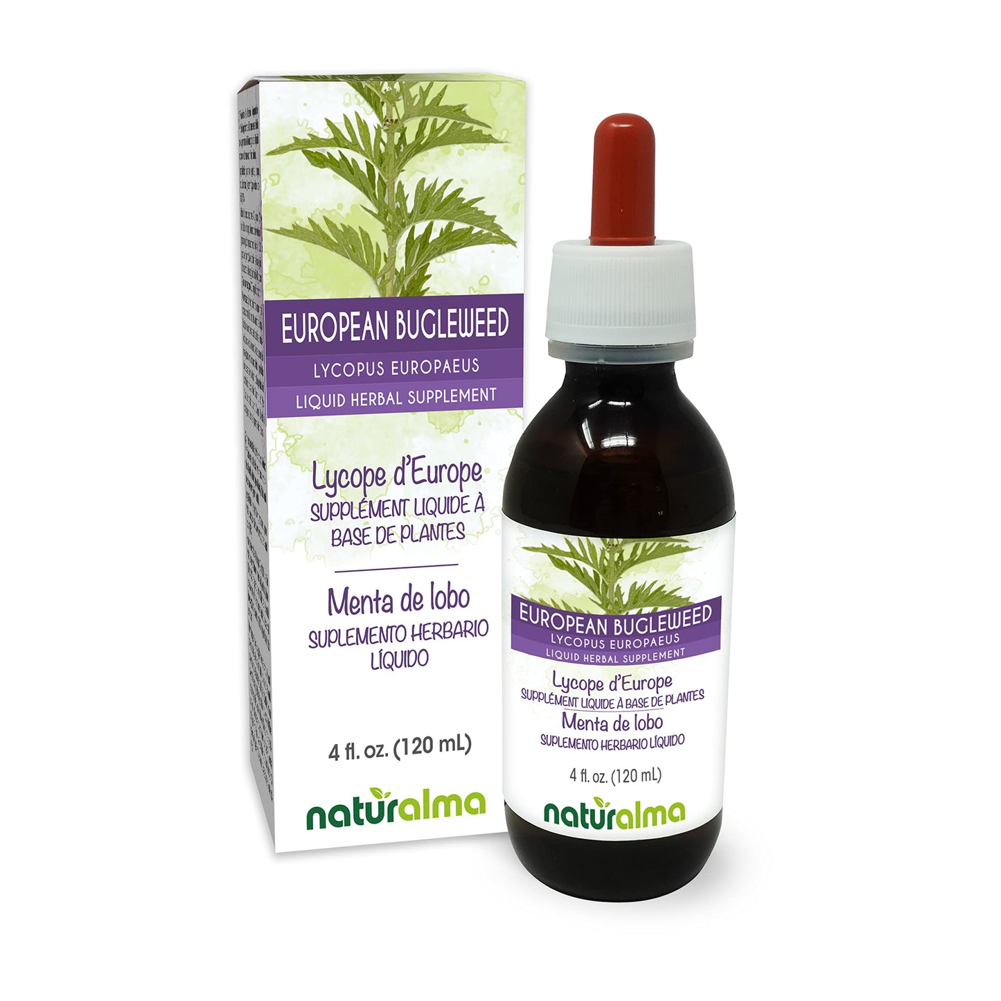 Naturalma European Bugleweed Tincture 4 oz – Alcohol-Free, Vegan