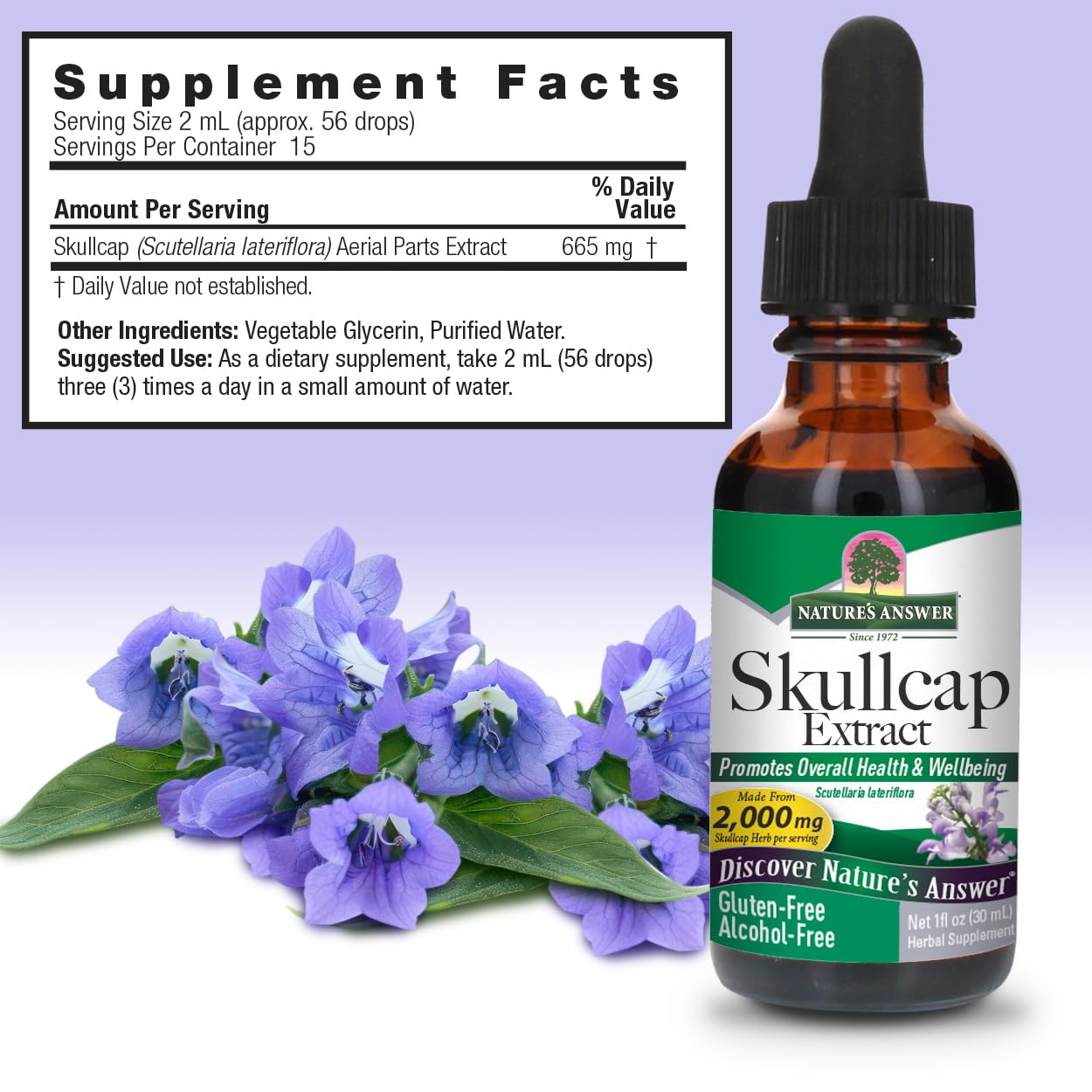 Nature's Answer Alcohol-Free Skullcap Herb - 1-Fluid Ounce