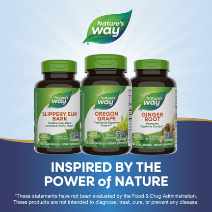 Nature's Way Oregon Grape - Traditional Digestive Support Supplement, 500 mg per Serving | 90 Vegan Capsules