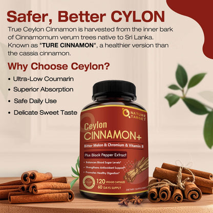 NATURE TARGET Ceylon Cinnamon Capsules – Cinnamon + Chromium + Bitter Melon, Vegetarian, 120 Capsules