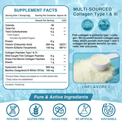 NATURE TARGET Marine Collagen Peptides Powder – Type I & III with Probiotics, Vitamin C & Hyaluronic Acid | 2 x 35 Servings