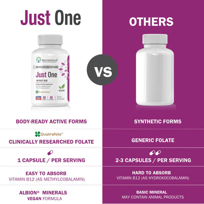 NatureGenX Just One Daily Methylated Multivitamin - 60 Caps, 2-Month Supply, Iron-Free, MTHFR Support, Gluten Free