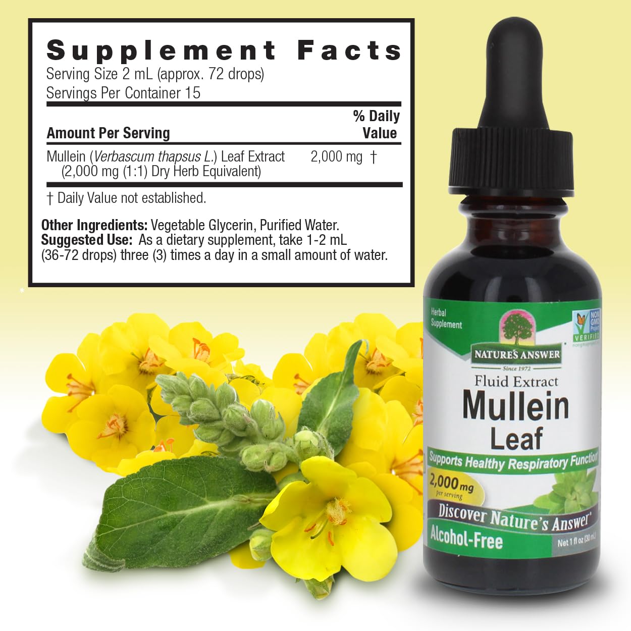Nature's Answer Mullein Leaf Extract – Alcohol-Free, Non-GMO, Made in USA – Supports Respiratory Health | 1 oz
